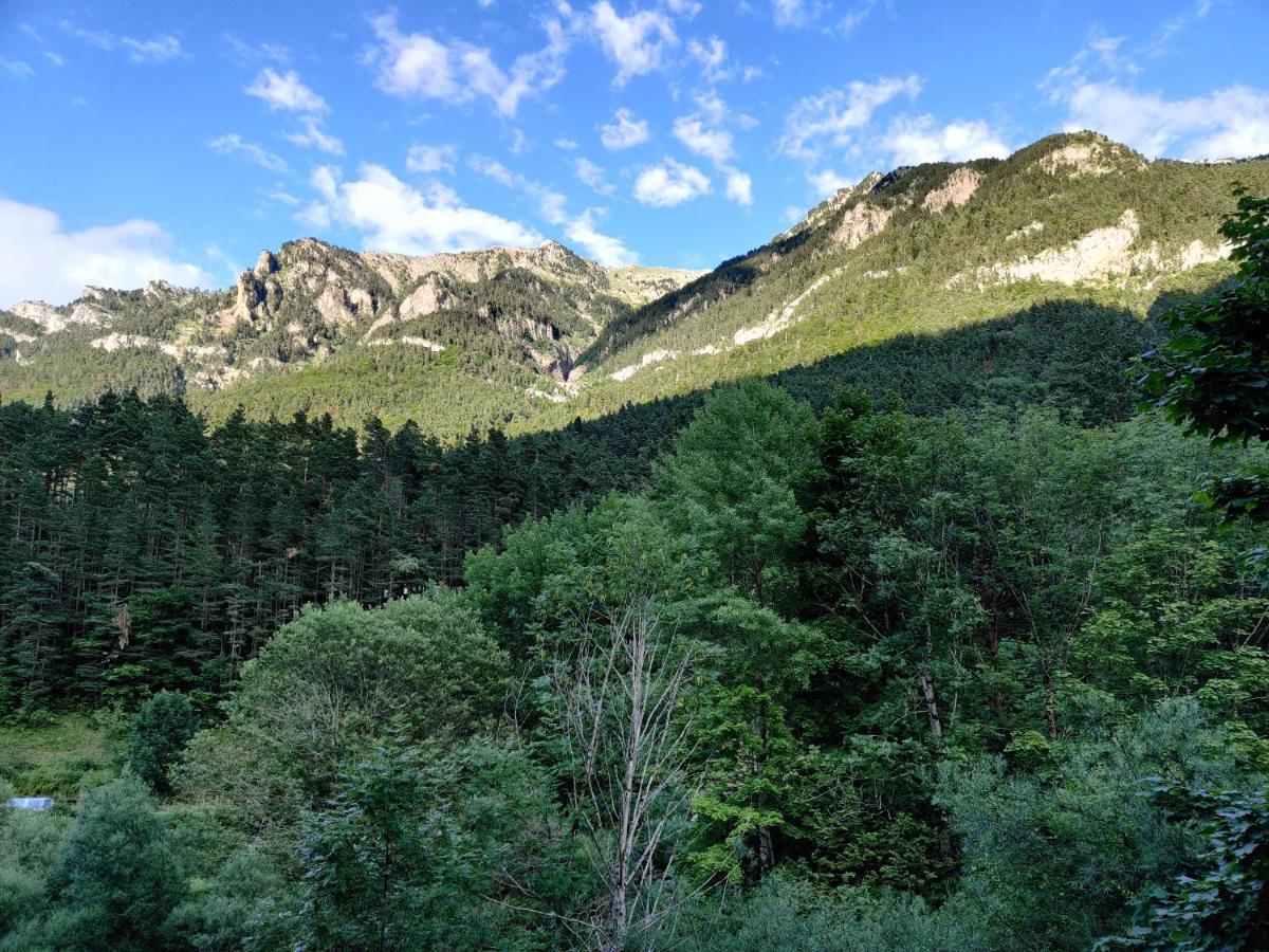 "Leo Pixel" Avairent Canfranc Estacion Apartment ภายนอก รูปภาพ